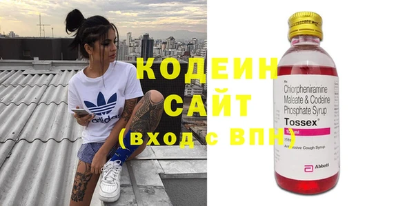 гашик Алексин