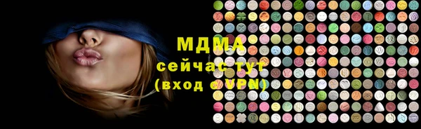 гашик Алексин