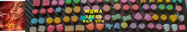 гашик Алексин
