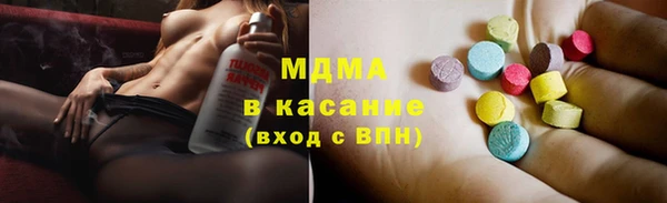 гашик Алексин