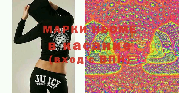 гашик Алексин