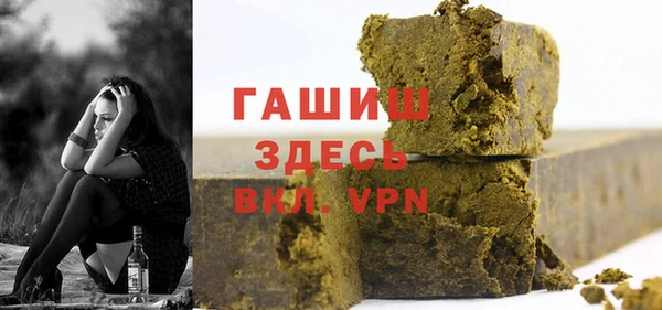 гашик Алексин