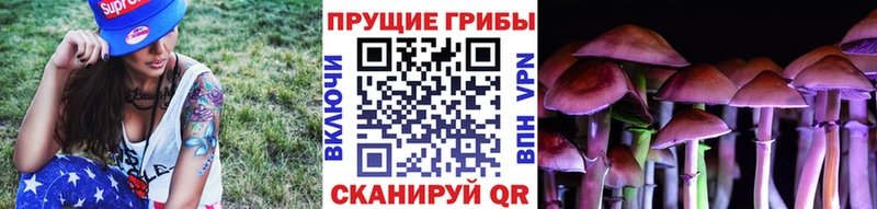 Псилоцибиновые грибы Psilocybe гидра маркетплейс Змеиногорск
